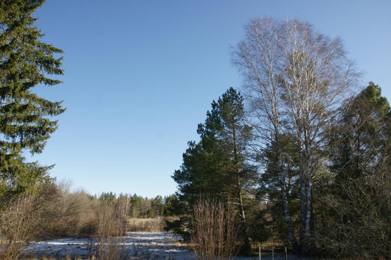 Bjoerkholm - Villa In Målilla Exterior foto